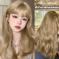 ราคา พร้อมส่ง หลายสี FENKANG ยาย้อมผม ไม่ทำร้ายผิว ครีมเปลี่ยนสีผม สีเทา สีผมแฟชั่น สีย้อมผมแบบสระ ยาย้อมผม สีน้ำเงินเข้ม สีเขียว สีม่วงดำ สีชาดำ (19453149260)