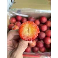 ราคา สด ใหม่ จาก ฟาร์ม ทุกวัน พรุนแดงสด 500กรัม ราชาแห่งไฟเบอร์ หวานฉ่ำกรอบ อร่อยมากๆ มีแค่ช่วงนี้เท่านั้น (21756645959)