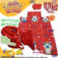 ราคา ที่นอนอนุบาล หนานุ่ม แมว (21382015146)