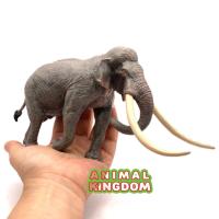 ราคา Animal Kingdom โมเดล Elephant ช้าง เอเชีย ขนาด 23 00 CM จากสงขลา (16832644099)
