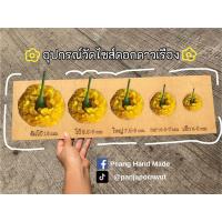 ราคา อุปกรณ์วัดไซส์ดอกดาวเรือง บล็อกคัดดอกดาวเรือง ช่วยให้คัดแยกได้สะดวก แม่นยำ (21620971062)