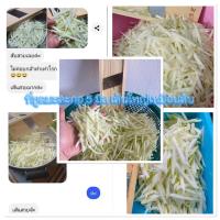 ราคา ที่สไลด์ 5มิล มะม่วง มะละกอและอื่นๆ งานดีใบมีดคมมาก (12413669534)