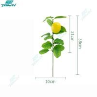 ราคา ของประดับตกแต่งมะนาวปลอมจำลองกิ่งไม้มะนาวเทียมสำหรับตกแต่งโต๊ะที่บ้าน (21780104591)