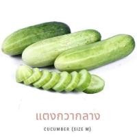 ราคา แตงกวา สด สะอาด รับประกันคุณภาพ (21751005976)