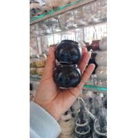 ราคา แก้วน้ำนกเซรามิคสีดำขนาดเล็ก1คู่ (21716136200)