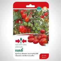 ราคา เมล็ดพันธุ์ มะเขือเทศเชอร์รี่ เรดดี้ ตราศรแดง (889666574)