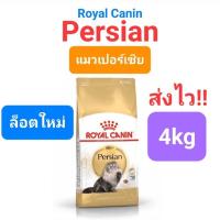 ราคา Royal Canin Persian Adult 4kg Exp 01 25 Kitten Persian 4kg Exp 08 24 โรยัลคานิน แมวโต ลูกแมว เปอร์เซีย ถุง 4 กก (16492179185)