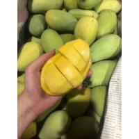 ราคา มะม่วงอกร่อง 1 กิโลกรัม มะม่วงโบราณ แท้ สุก หอม หวาน น่ารับประทาน (18951465237)