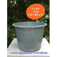 ราคา กระถางต้นไม้ กระถางพลาสติก กระถาง 8 นิ้ว มี 2 สี ให้เลือก เพมาะกับการปลูกต้นไม้ เพาะต้นไม้ พลาสติกหนา (10387771480)