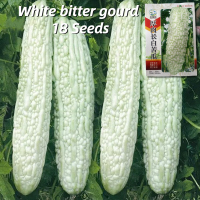 ราคา อัตรางอกสูง เมล็ดพันธุ์ มะระขี้นก สีขาว บรรจุ 15 เมล็ด White Bitter Gourd Seeds Organic Vegetable Seeds for Planting เมล็ดพันธุ์มะระจีน เมล็ดมะระ ผักออร์แกนิก F1 เมล็ดพันธุ์ผัก บอนไซ พันธุ์ผัก เมล็ดผั