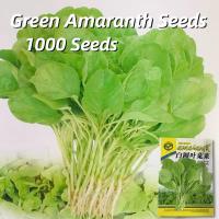 ราคา เมล็ดพันธุ์ ผักโขมสีเขียว เมล็ดผักโขมเขียว บรรจุ 1000 เมล็ด Green Amaranth Seeds Vegetable Seeds for Planting เมล็ดผักโขม เมล็ดพันธุ์ผัก ผักสวนครัว ผักออร์แกนิก บอนไซ พันธุ์ผัก เมล็ดผัก เมล็ดพันธุ์พืช