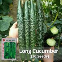 ราคา เมล็ดพันธุ์แตงกวา เมล็ดแตงกวาญี่ปุ่น บรรจุ 30 เมล็ด Japanese Cucumber Seed Vegetable Seeds เมล็ดแตงกวา เมล็ดพันธุ์ OP แท้ เมล็ดผักสวนครัว ผักออร์แกนิก F1 เมล็ดพันธุ์ผัก บอนไซ เมล็ดพันธุ์พืช พันธุ์ผัก 