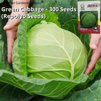 ราคา เมล็ดพันธุ์ กะหล่ำปลี เขียว กะหล่ำปลียักษ์ บรรจุ 300 เมล็ด Green Cabbage Seed Vegetable Seeds for Planting เมล็ดพันธุ์แท้ OP เมล็ดกะหล่ำปลี เมล็ดพันธุ์ผัก ผักสวนครัว ผักออร์แกนิก พันธุ์ผัก เมล็ดผัก เม