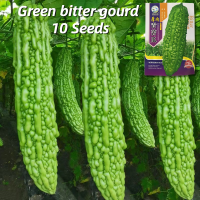 ราคา เมล็ดพันธุ์ มะระขี้นก บรรจุ 10 เมล็ด Green Bitter Gourd Seed Vegetable Seeds for Planting เมล็ดพันธุ์มะระจีน เมล็ดมะระ ผักออร์แกนิก F1 เมล็ดพันธุ์ผัก บอนไซ พันธุ์ผัก เมล็ดผัก เมล็ดพันธุ์ OP แท้ ผักสวน