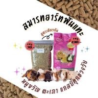 ราคา อาหารหนูแกสบี้หนูตะเภาหนูขวัญสูตรคอมพลีทบาลานซ์ (20535590462)