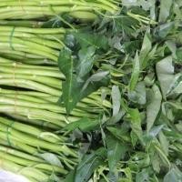 ราคา 100 เมล็ด ผักบุ้งไทย ผักบุ้งเย็นตาโฟ เมล็ดผัก ปลอดสาร (21784431540)