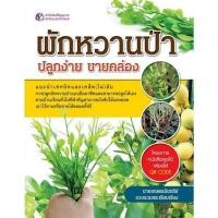 ราคา ผักหวานป่า ปลูกง่าย ขายคล่อง (21441685516)