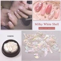 ราคา เปลือกหอย ลายรุ้ง แต่งเล็บ เปลือกหอยแผ่น แบบปุก Slice Nail Glitter Shell (19409746494)