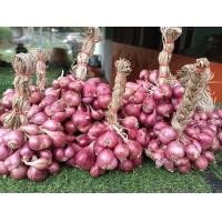 ราคา หอมแดงมัดจุกหอมแดงศรีสะเกษจุกล่ะ4ขีดหอมแดงแห้งสวยตรงปก (21613610191)