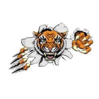 ราคา ตัวรีดติดลายเสื้อ TK 37 ลายเสือ หน้าเสือ ลายติดเสื้อ เท่ห์ๆๆ แผ๋นฟิล์มรีดร้อน (19939604395)