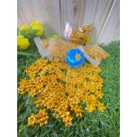 ราคา ดอกพิกุล พิกุล เหรียญโปรยทาน แพ็ค 100ชิ้น พร้องส่ง (21462233479)