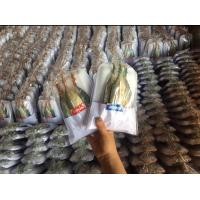 ราคา ปลาทูมัน ปลาทูหอม เค็ม 20 บาท (21313993503)