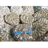 ราคา ขายดีอันดับ1 ปลากระดี่วง ตากแห้งสนิท ไม่มีกลิ่นเหม็น คาว (18927638952)