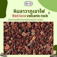 ราคา หินลาวาสีแดง หินภูเขาไฟ แบ่งขาย บรรจุ ถุงเล็ก 2ลิตร ถุงใหญ่ 4ลิตร (20892569192)