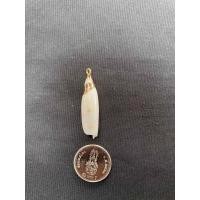 ราคา จี้เปลือกหอยสังข์ธรรมชาติ จี้หอยชุบทอง seashells pendant gold plated pendant (20050293876)