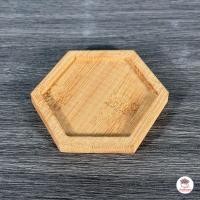 ราคา กระถางเซรามิค สีขาว กระถางแคคตัส กระถางกระบองเพชร ไม้อวบน้ำ cactus succulent (21518386573)