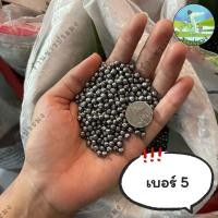 ราคา ลูกตะกั่ว ขายเป็นขีด 100กรัม เบอร์ 1 8 ตะกั่วนก ตะกั่วหนู ตะกั่วเม็ด ตะกั่ว (21446908344)