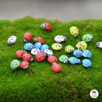 ราคา เต่าทองจิ๋ว เซต 10 ชิ้น ตุ๊กตาจิ๋ว โมเดลจิ๋ว แต่งสวน ตุ๊กตาแต่งสวนจิ๋ว ตุ๊กตาจัดสวนถาด (21713875762)