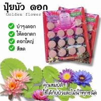 ราคา ปุ๋ยบัว ปุ๋ยบอนสี ปุ๋ยไม้น้ำ Golden Flowers 14เม็ด มี2สูตร สูตรเร่งต้น และเร่งดอก (11464259130)