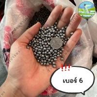 ราคา ลูกตะกั่ว ขายเป็นขีด 100กรัม เบอร์ 1 8 ตะกั่วนก ตะกั่วหนู ตะกั่วเม็ด ตะกั่ว (21446908345)