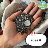 ราคา ลูกตะกั่ว ขายเป็นขีด 100กรัม เบอร์ 1 8 ตะกั่วนก ตะกั่วหนู ตะกั่วเม็ด ตะกั่ว (21446908343)