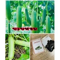 ราคา เมล็ดพันธุ์ บวบหอม บวบ 10แถม1คละอย่างได้ (9086814234)