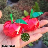 ราคา เหรียญโปรยทาน ผลไม้รวม ตัวเปล่า 2ชิ้น แก้วมังกร สับปะรด มังคุด ส้ม มะเขือเทศ มะพร้าว แอปเปิ้ล เหรียญโปรยทานผลไม้ (21484855274)