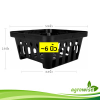 ราคา กระถางกล้วยไม้ จัตุรัส ขนาด 6 นิ้ว สีดำ (21399453399)