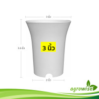 ราคา กระถางทรงปากแตร ขนาด 3 นิ้ว สีดำ สีขาว (21399826847)