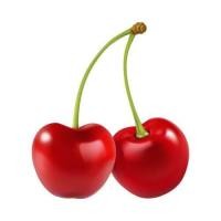 ราคา ตัวรีดติดเสื้อลายเชอรีเชอรี่ สวยๆ 4289 ลูกเชอรี่ เชอรี่สีแดงสด สวยๆ รีดติดง่ายทุกเนื้อผ้า (21636369547)