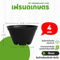 ราคา กระถางทรงชาม ขนาด 6 นิ้ว เตี้ย สีดำ (21397223939)
