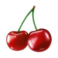 ราคา ตัวรีดติดเสื้อลายเชอรีเชอรี่ สวยๆ 4289 ลูกเชอรี่ เชอรี่สีแดงสด สวยๆ รีดติดง่ายทุกเนื้อผ้า (21636369543)