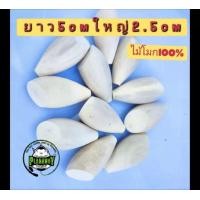 ราคา บอดี้กบกระโดดทรงกลม ไม้โมกมัน เอาไปเหลาเป็นกบโดดทรงกลม ทรงเทพ และสามเหลี่ยม หรือทำกบส่ายได้ (17126419190)