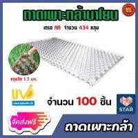 ราคา ส่งฟรี ถาดเพาะกล้านาโยน แบบบาง แพ็ค 100 ชิ้น ถาดเพาะนาโยน ถาดปลูกกล้านาโยน ถาดเพาะกล้า ถาดนาโยน เพาะกล้านาโยน ทำนาโยน (14343206430)