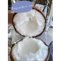 ราคา มะพร้าวกะทิทับสะแก 2 ลูก (21561385660)