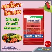 ราคา กำมะถันทอง ซัลเฟอร์ สารป้องกันกำจัดโรคพืช สารป้องกันกำจัดศัตรูพืช คุมเชื้อรา ไล่แมลง โรคราแป้ง โรคสแค็ป ขนาด 1 กิโลกรัม (21428538847)