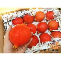 ราคา ทับทิมอินเดีย INDIA 3ลูก ลดพิเศษ ทับทิม Premium Pomegranate เม็ดแดงใส หวาน อร่อย ผลไม้สดๆ ผลไม้สดนำเข้า ผลไม้นอก ทับทิมสด ผลไม้สดทับทิม (14236623668)