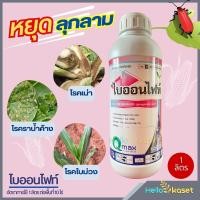 ราคา ไบออนไฟท์ สารป้องกันกำจัดโรคพืช โรคต้นเน่า โรคเน่า ขนาด 1 ลิตร หยุดการลุกลามของเชื้อรา (20929403040)