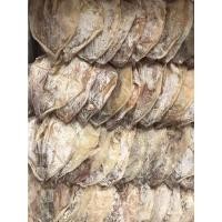 ราคา พร้อมส่ง หมึกผ่าเนื้อหวาน ขนาด A6 นน 200 กรัม จัดส่ง A6 200 กรัม ราคา ส่ง ถูกมาก (21725526629)