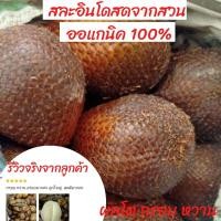 ราคา สละอินโด สละออแกนิค สละสายน้ำผึ้ง สละปอนโดะห์ สายพันธ์แท้อินโดนีเซีย 1กก (14734758768)